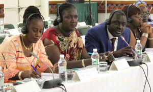 West Africa consultation at ICASA in December 2015.