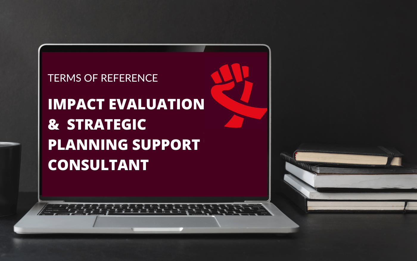 Impact Evaluation and Strategic Planning Support Consultant