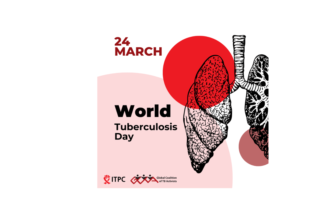 World TB Day 2026 Joint Statement
