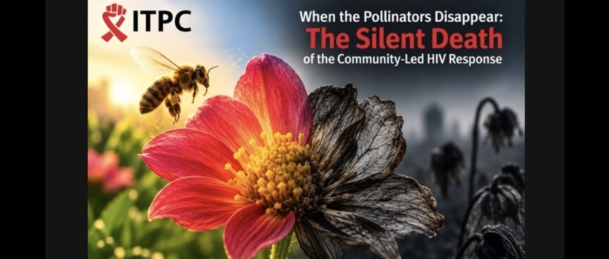 When the Pollinators Disappear: The Silent Death of the Community-Led HIV Response
